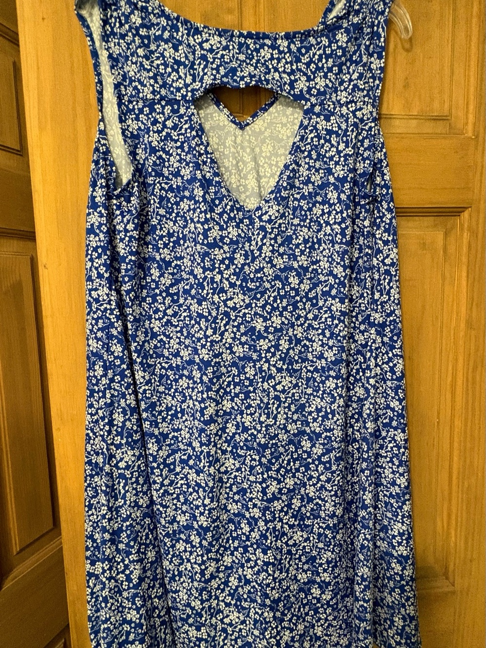 Blue Floral Sleeveless A-Line Dress